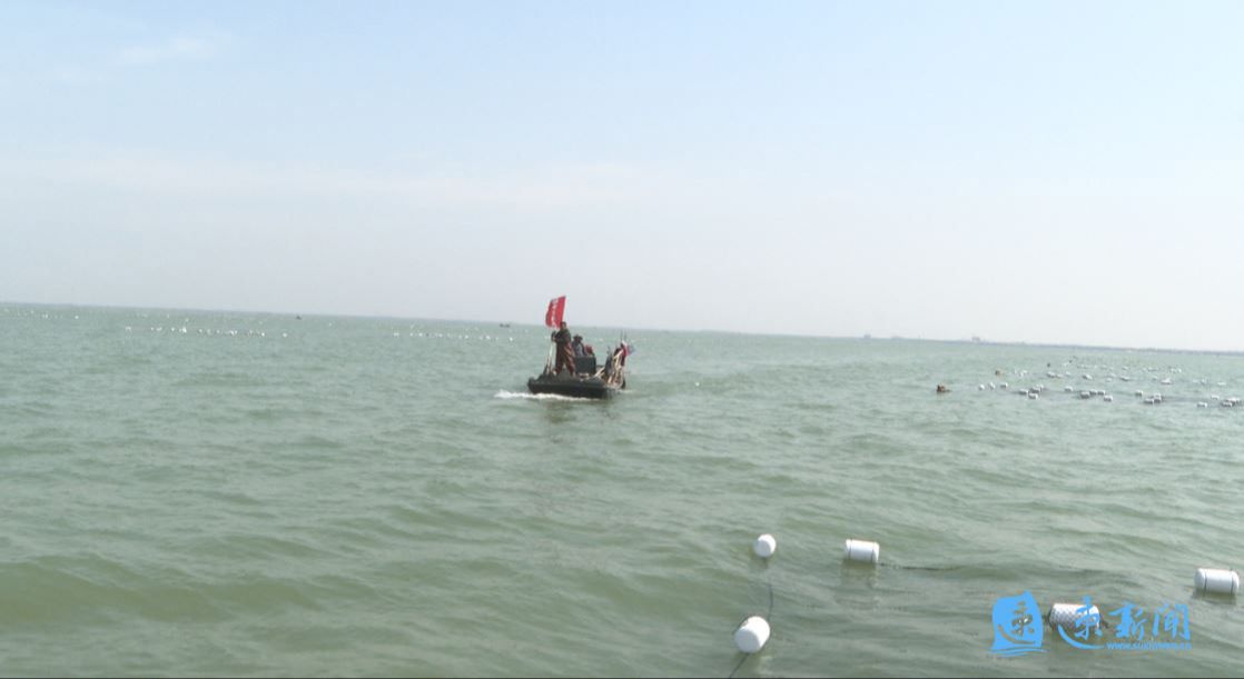 江苏宿迁：骆马湖“春耕”忙生态养殖绘新章(图3)