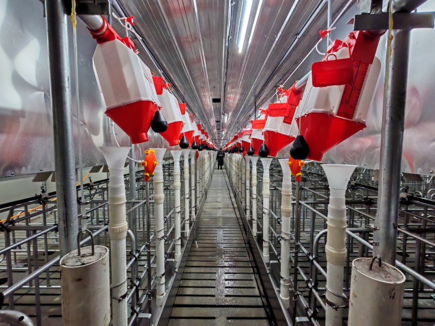 四川简阳：科技赋能养殖路生态铺就振兴途(图2)