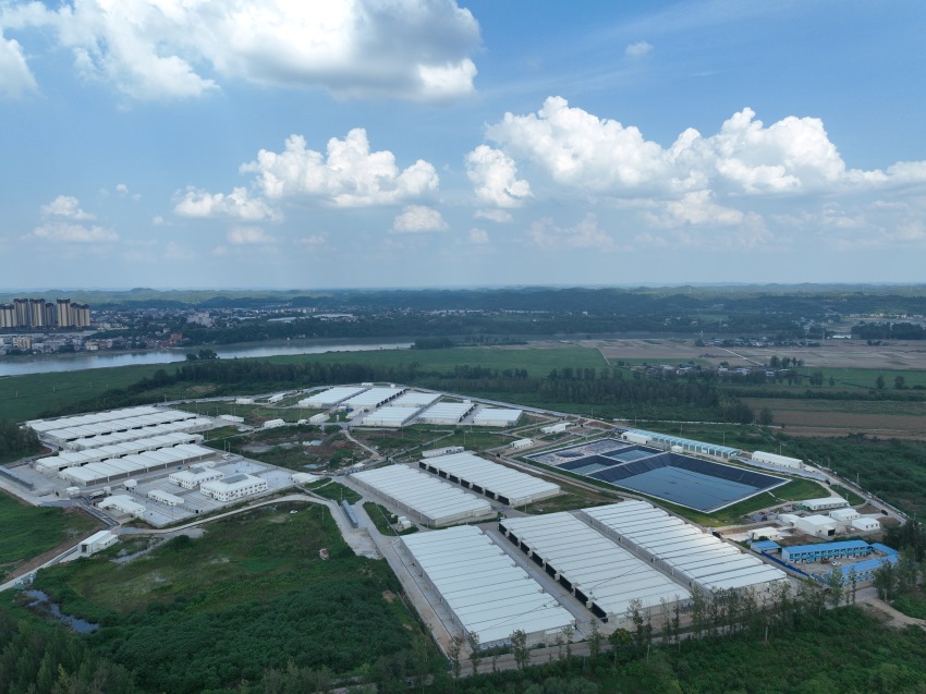 四川简阳：科技赋能养殖路生态铺就振兴途(图1)