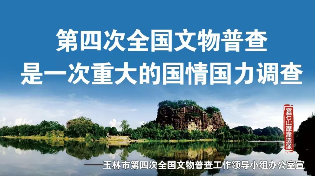 玉林2024年度主要调查数据出炉(图1)