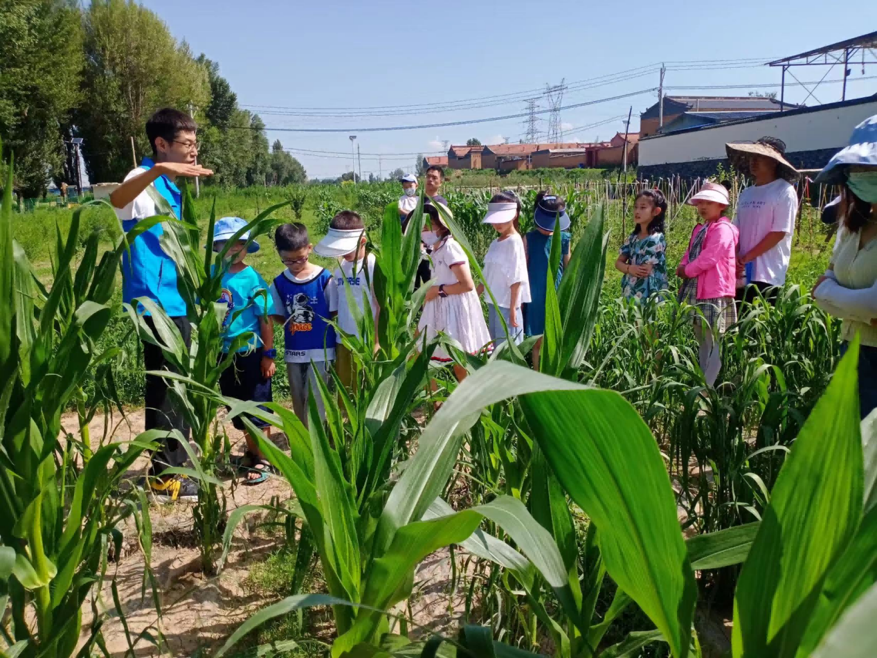杏彩体育平台大同市平城区：农文旅“融”出新精彩(图2)
