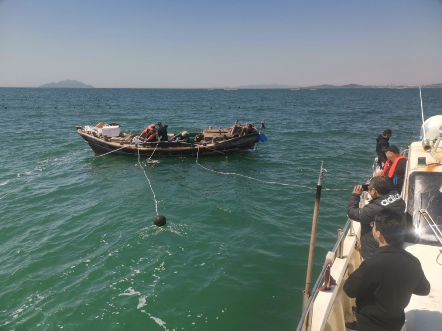 青岛西海岸新区探路海胆特色养殖新赛道杏彩体育平台(图3)