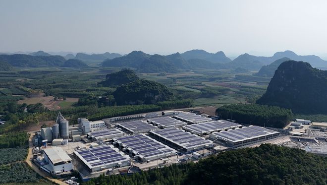 牧原股份2024年营收1杏彩体育379亿净利润达179亿坚定践行绿色低碳发展理念(图1)