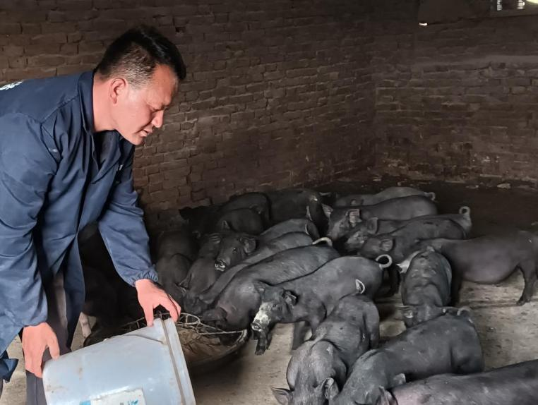 推动乡村生态养殖产业升级——头雁”李晓勇的故事(图1)