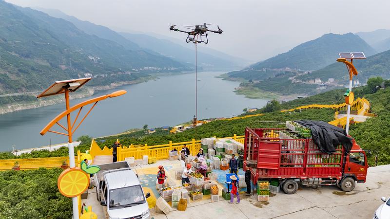 数智“新农人”化身乡村“兴农人”——宜昌农业玩转“新农具”逐梦沃野侧记(图1)