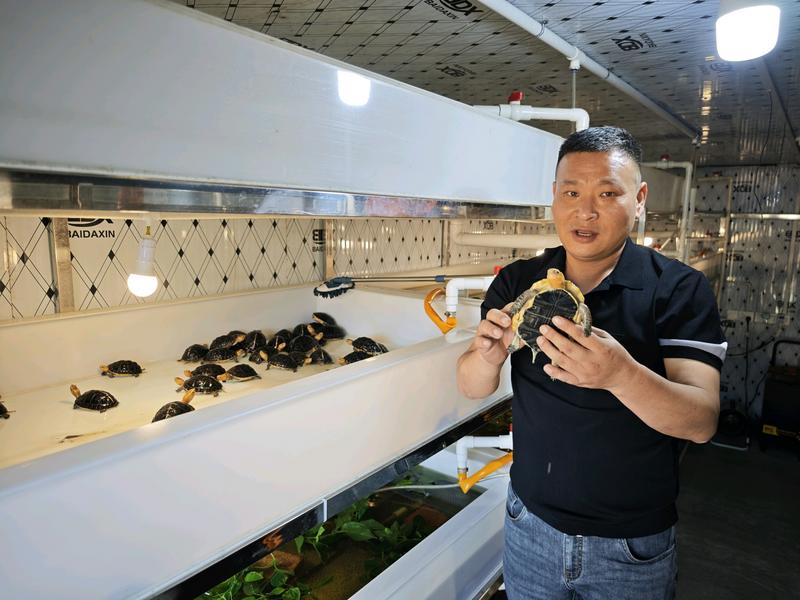 数智“新农人”化身乡村“兴农人”——宜昌农业玩转“新农具”逐梦沃野侧记(图8)