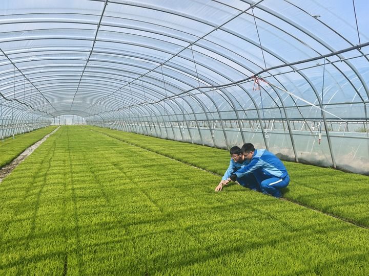 “黑土粮仓”春耕忙——吉林推进现代化大农业建设一线观察(图3)