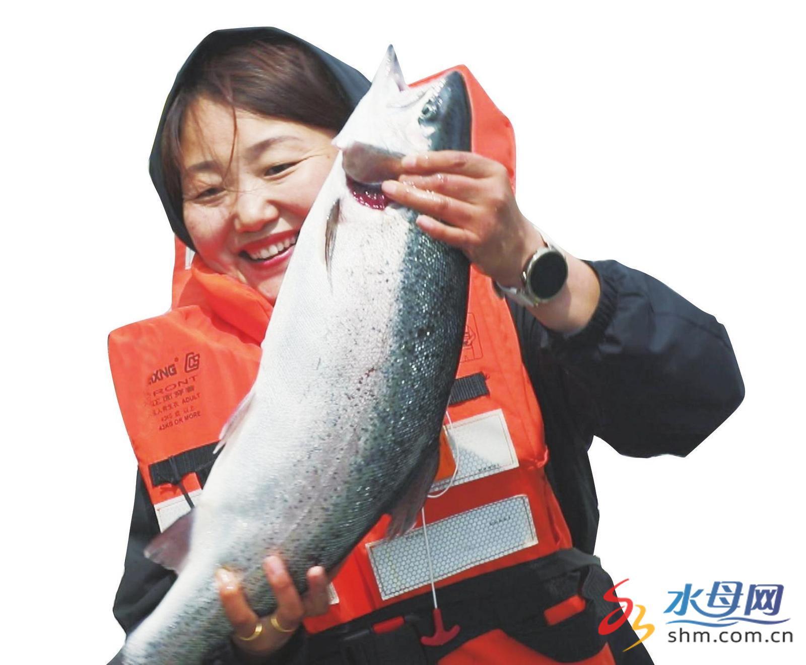 长岛三文鱼“游”向大市场逐步构建海洋经济全产业发展生态(图1)