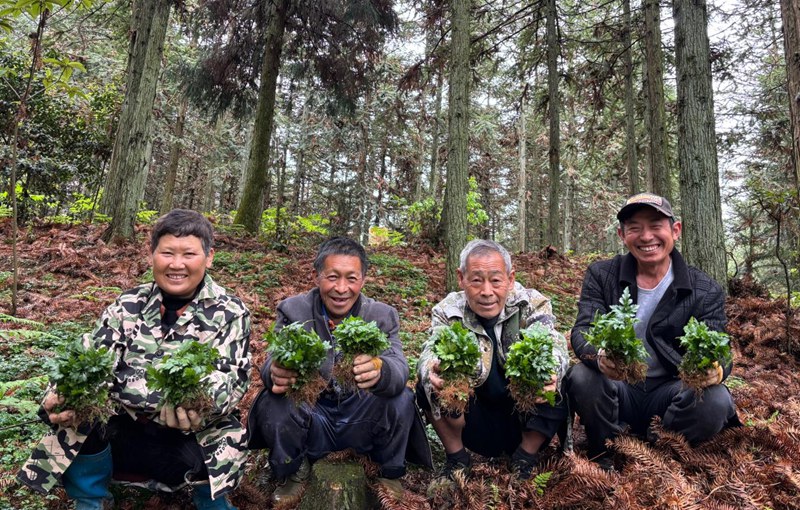 贵州开阳：生态赋能绿富同兴(图2)