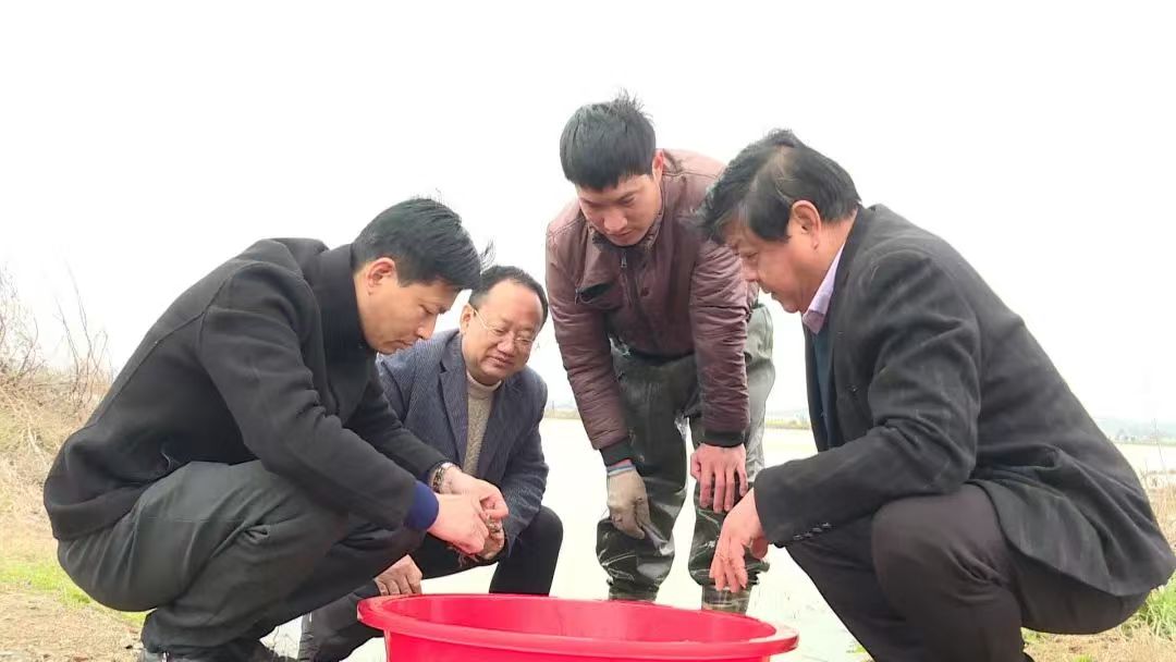 “虾去禾生”富乡村(图8)