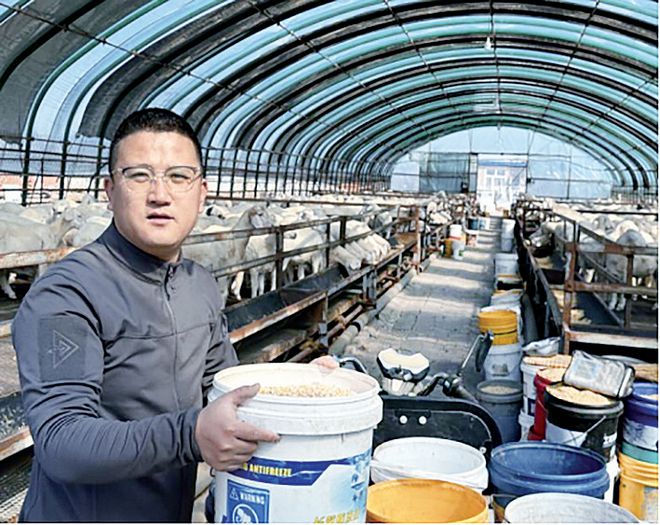 杏彩体育平台“新农人”扎根养殖业大展身手(图1)