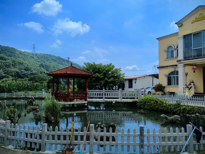 普定县后寨村:产业兴旺活力足(图1)