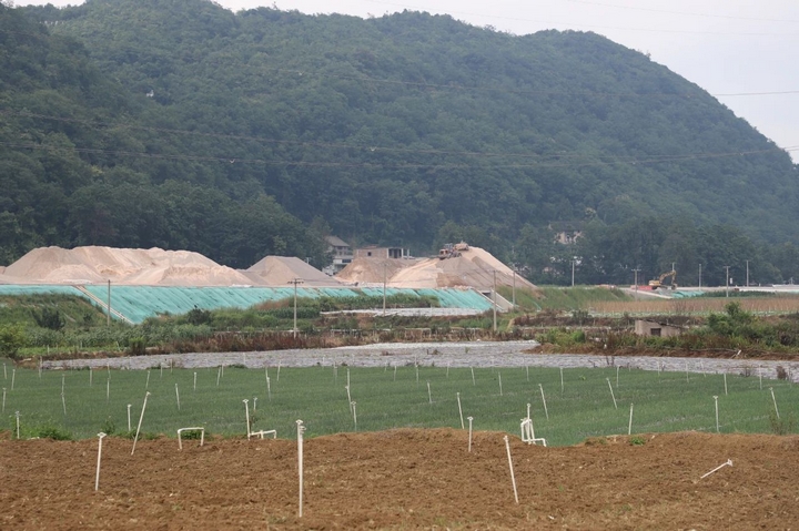 普定县后寨村:产业兴旺活力足(图3)