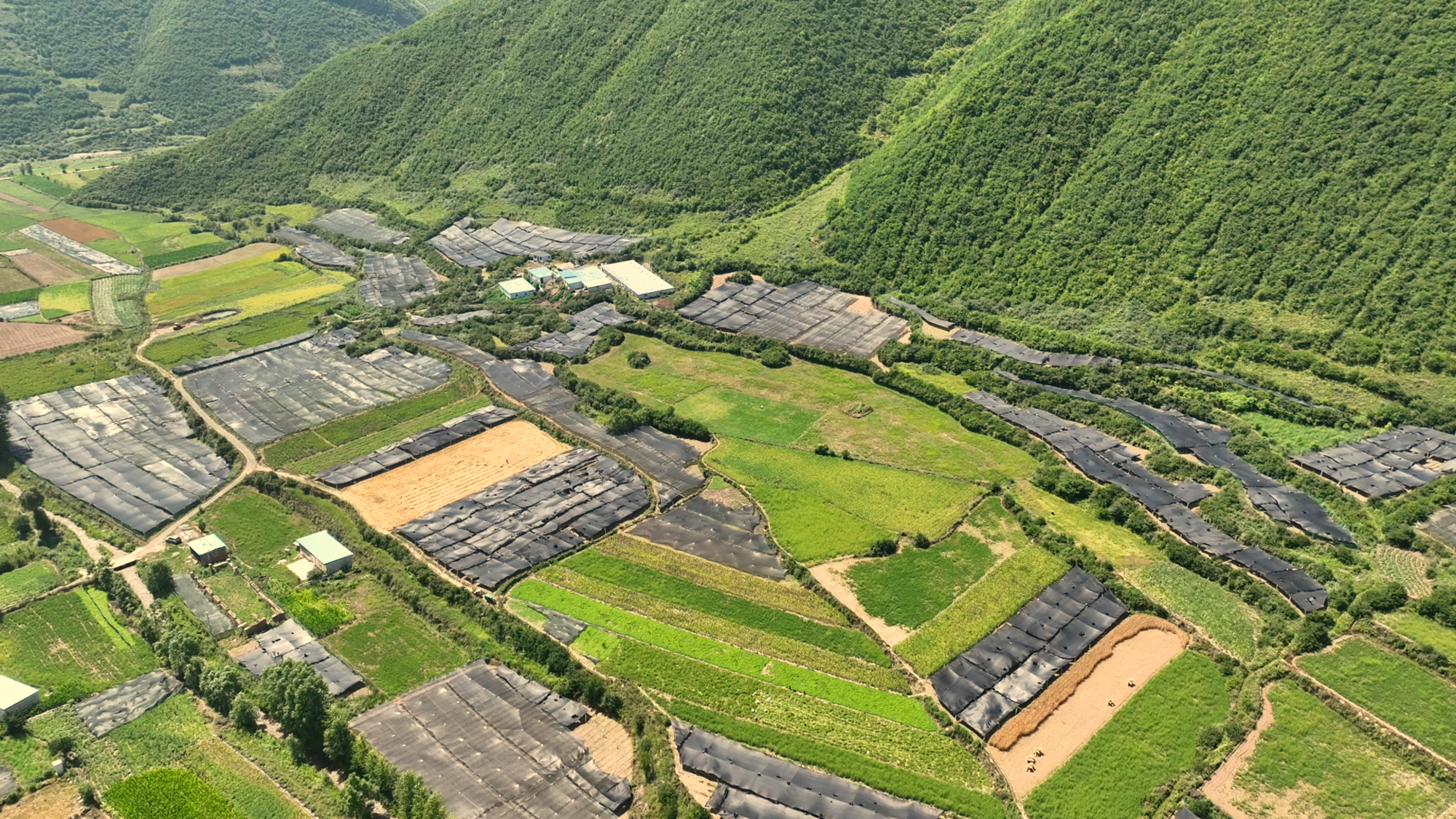 杏彩体育甘肃漳县：特色产业铺就生态富民振兴路(图1)