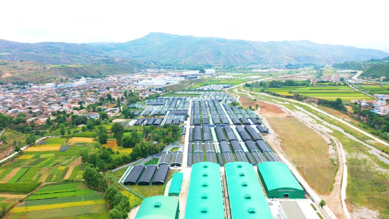 杏彩体育甘肃漳县：特色产业铺就生态富民振兴路(图2)