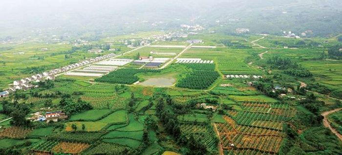 绵竹：数字田畴织就锦绣生态沃野绘就新篇(图6)
