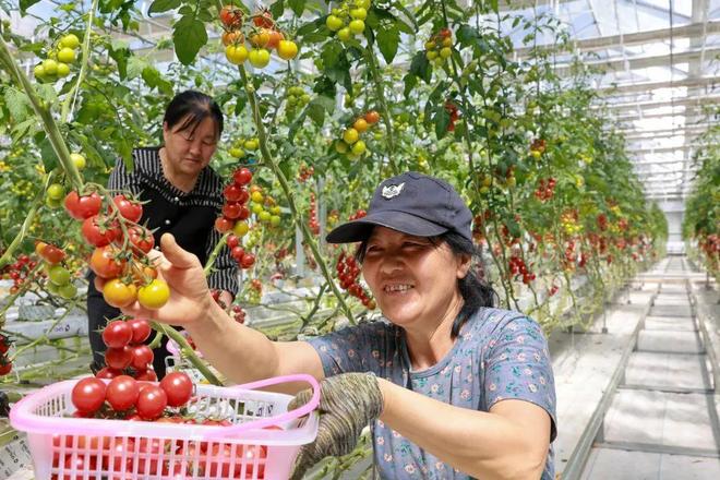 TA们组团打卡呼和浩特！这些亮点惊艳众人(图3)