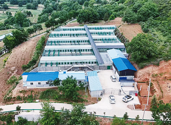 千阳县东庄村林麝养殖产业示范基地建成百只林麝入新居生态赋能谱新篇(图1)