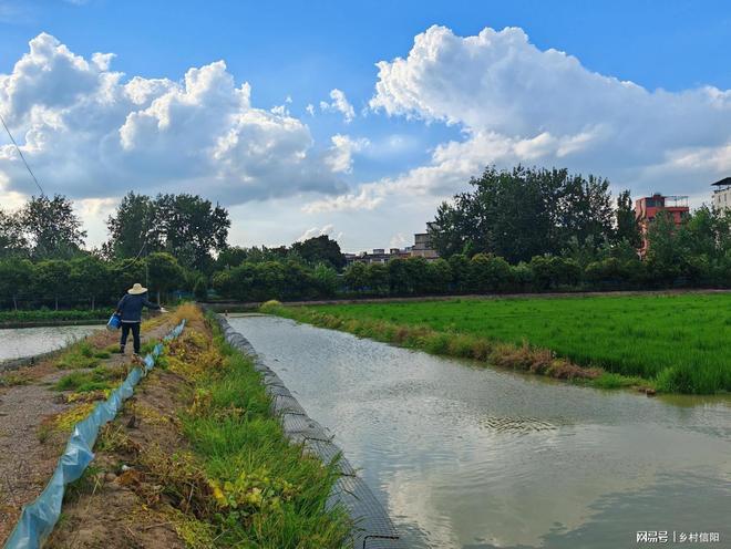信阳潢川：“稻虾鳖”模式解锁“一水三收”致富密码(图1)