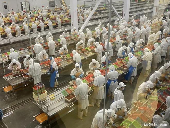 信阳潢川：“稻虾鳖”模式解锁“一水三收”致富密码(图3)