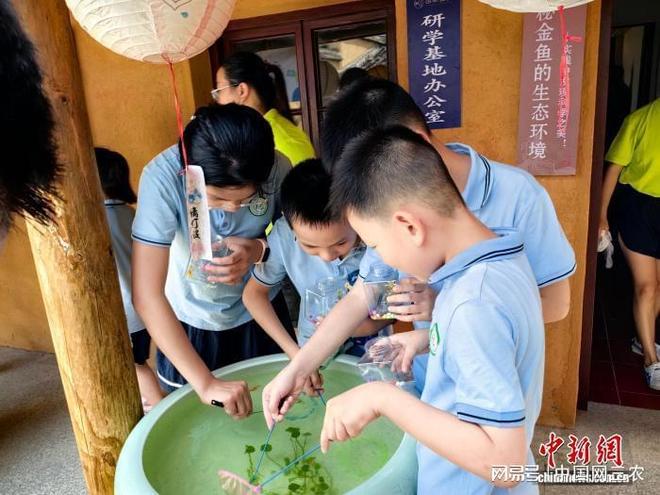 “金鱼之乡”闽侯“游”出产业生态链(图3)