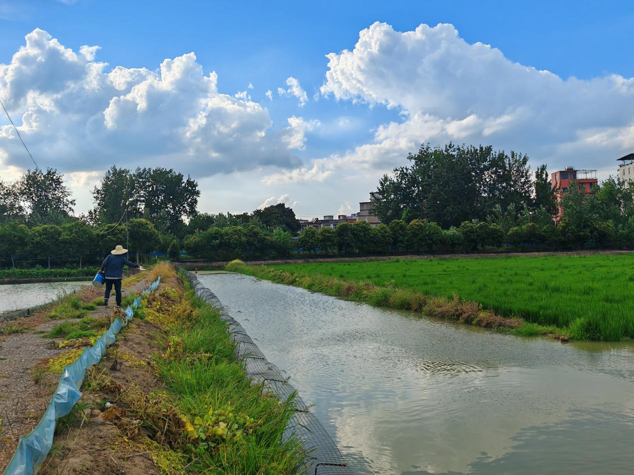河南潢川：从“鱼米之乡”到“生态富地”(图1)