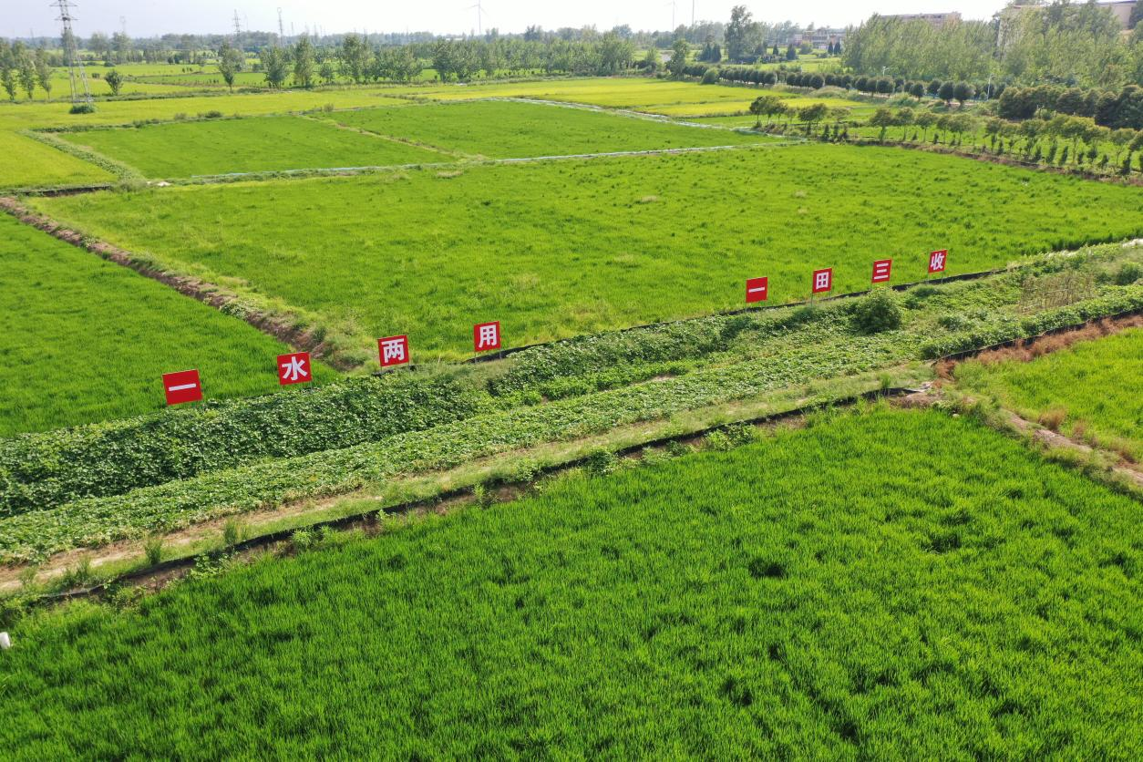 河南潢川：从“鱼米之乡”到“生态富地”(图2)