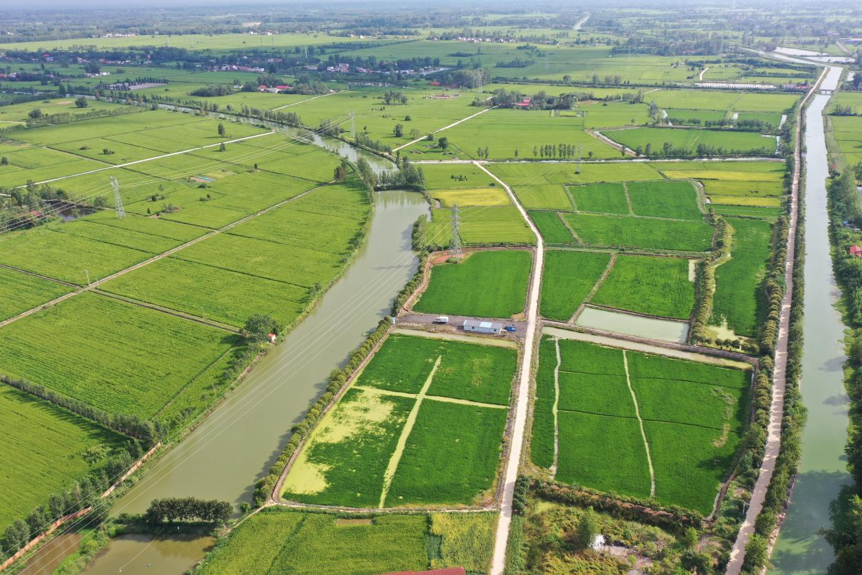 河南潢川：从“鱼米之乡”到“生态富地”(图3)