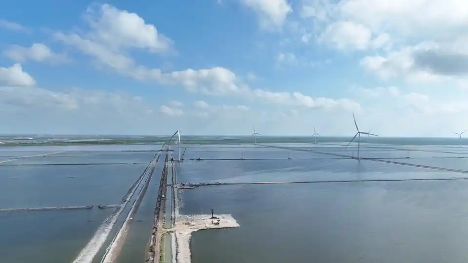 “一尾虾”盘活“一条链”杏彩体育(图5)