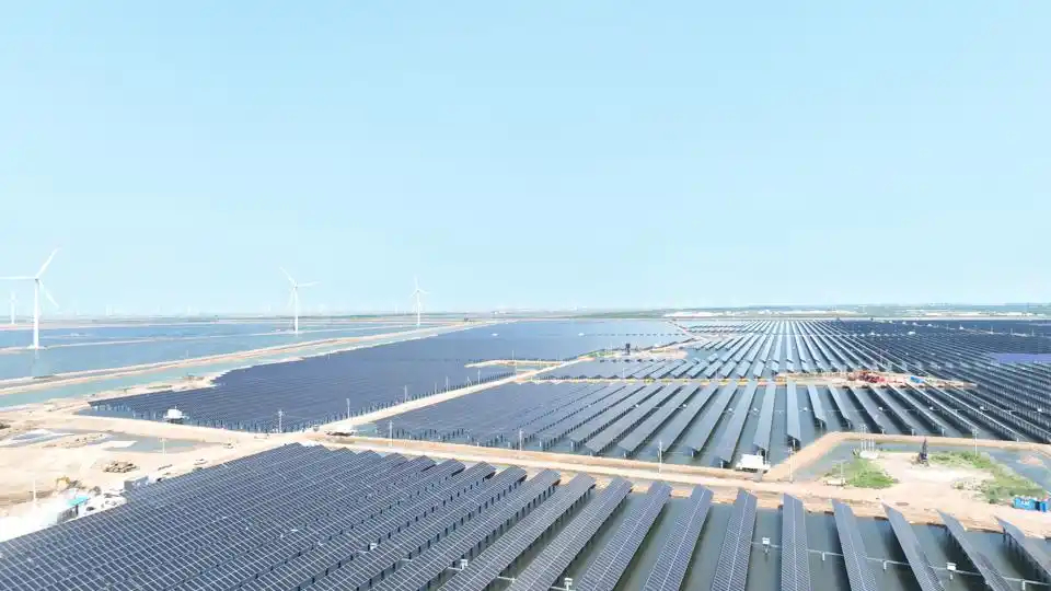 “一尾虾”盘活“一条链”杏彩体育(图4)