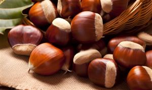 2024家禽行业产业链调研及市场发展现状分析(图7)