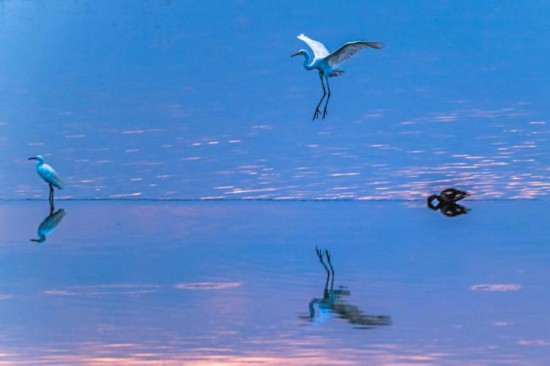 海上新山东丨以“生态绿”涵养“海洋蓝”(图1)