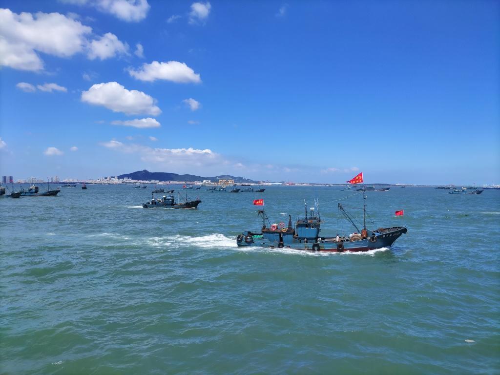 从“讨海”到“耕海”山东将“一片做成一条千亿级产业链(图2)