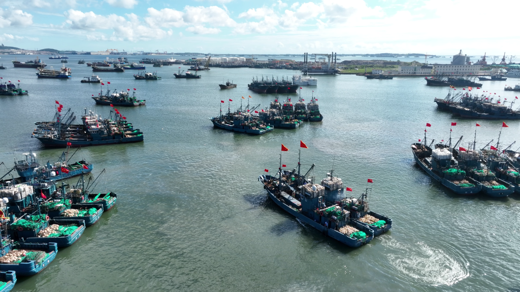 从“讨海”到“耕海”山东将“一片做成一条千亿级产业链(图1)