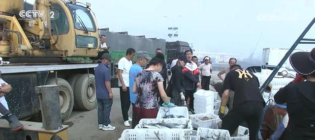 耕海牧渔鱼虾满仓、土地轮作增效益科技赋能绘就金秋好“丰”景(图2)