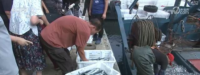 耕海牧渔鱼虾满仓、土地轮作增效益科技赋能绘就金秋好“丰”景(图1)