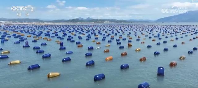 耕海牧渔鱼虾满仓、土地轮作增效益科技赋能绘就金秋好“丰”景(图10)