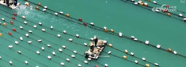 耕海牧渔鱼虾满仓、土地轮作增效益科技赋能绘就金秋好“丰”景(图8)