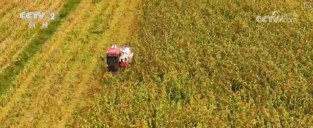 耕海牧渔鱼虾满仓、土地轮作增效益科技赋能绘就金秋好“丰”景(图20)