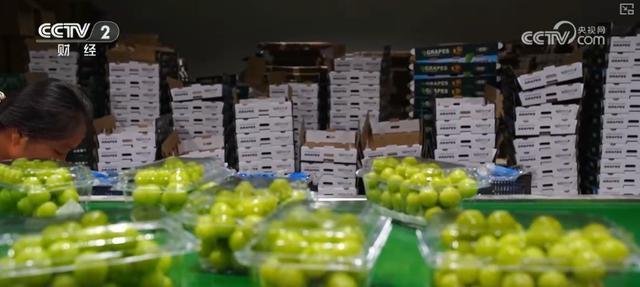 耕海牧渔鱼虾满仓、土地轮作增效益科技赋能绘就金秋好“丰”景(图23)