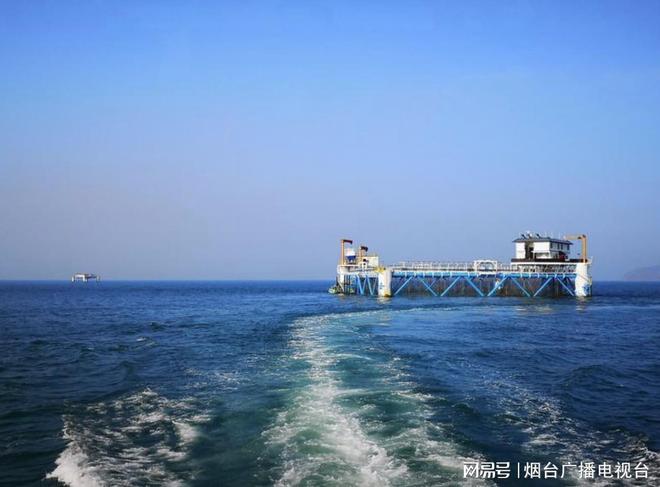 海上新山东耕海牧渔丰盈“蓝色粮仓”(图1)