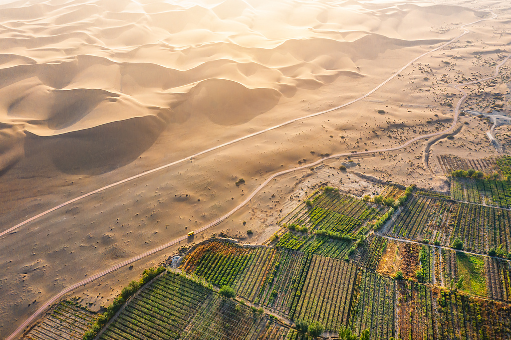 听绿色未来｜戈壁涌出三文鱼杏彩体育平台节水工程赋能多元产业(图2)