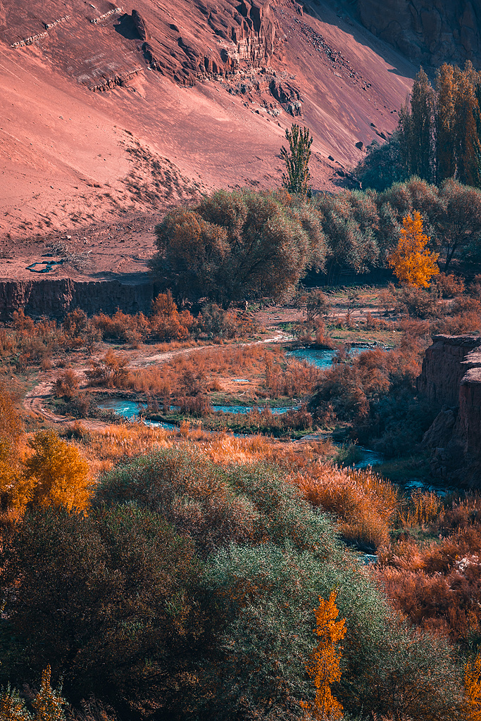 听绿色未来｜戈壁涌出三文鱼杏彩体育平台节水工程赋能多元产业(图4)
