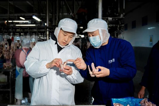 杏彩体育平台强农先锋丨肖英芮：向“新”而行破浪肉鸭江湖(图3)