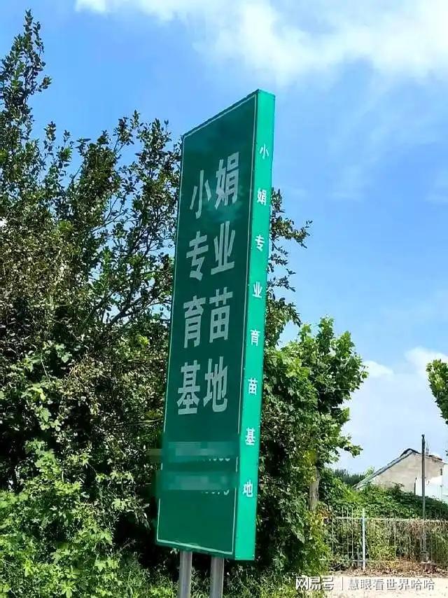 农民工掀起返乡新趋势！未来十年农村蕴藏这些新机遇(图1)