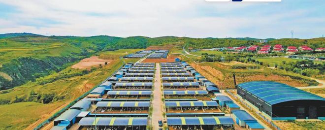 榆林羊产业：百亿全链“羊”气足乡村振兴“添”动能(图1)