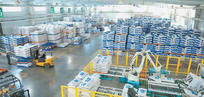 榆林羊产业：百亿全链“羊”气足乡村振兴“添”动能(图2)