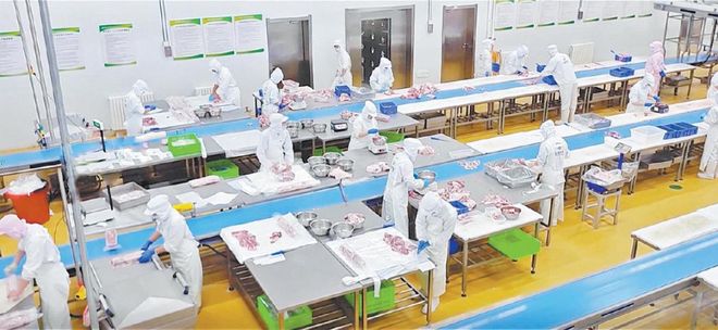 榆林羊产业：百亿全链“羊”气足乡村振兴“添”动能(图3)