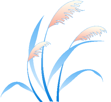 榆林羊产业：百亿全链“羊”气足乡村振兴“添”动能(图4)