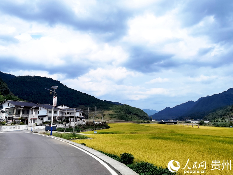 村美人和宜居宜业(图1)